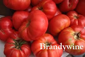 redbrandywinelabeled