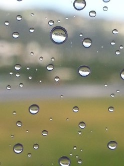 Photo Credit: Mrs. O'Hare