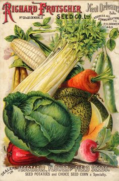 seedcataloguevintage